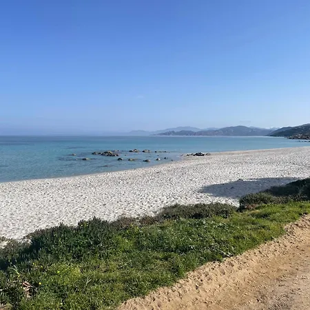 Lejlighed La Petra Marinella - Appt Climatise Avec Piscine *